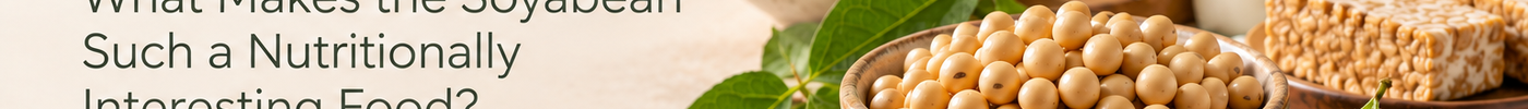 Soyabeans 101: What Makes the Soyabean Such a Nutritionally Interesting Food?