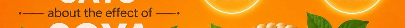 What Research Says about the effect of Soya on Blood Sugar and Cholesterol levels.