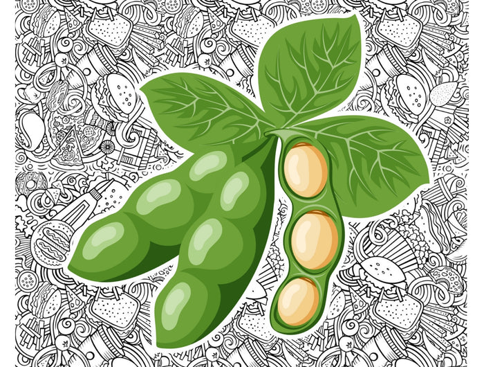 <h5><br/><span style="text-decoration:underline">Why Healthy Soya®?</span></h5><h2>Because better eating starts with <span style="text-decoration:underline">SMART </span>choices.<br/></h2><p>Healthy Soya started as a personal solution — a soy-based patty made to fill the protein gap in a vegetarian diet. When our founder introduced it to his father-in-law for health recovery, it quickly became a household staple. What began as a family fix turned into a bigger mission: to bring high-protein, plant-based meals to every Indian kitchen.</p>